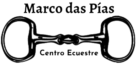 Logo de mi sistema